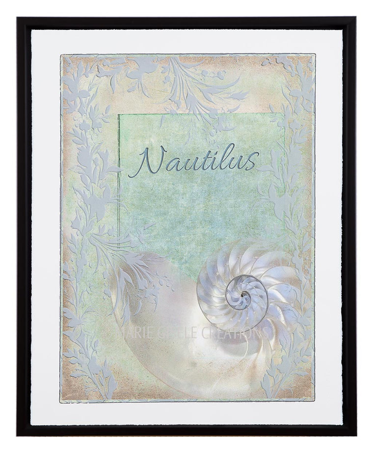Aqua Nautilus Seashell