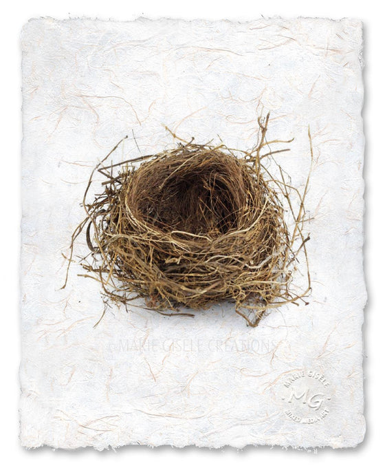 Bird Nest II