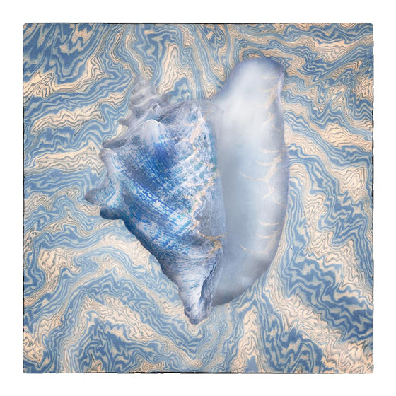 Blue Conch on Blue Tapestry