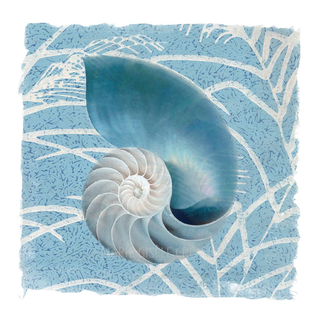Blue Nautilus on Blue Fabric