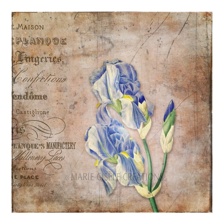 Vintage Blue Flower