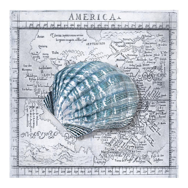 Cockle Shell on Blue Map