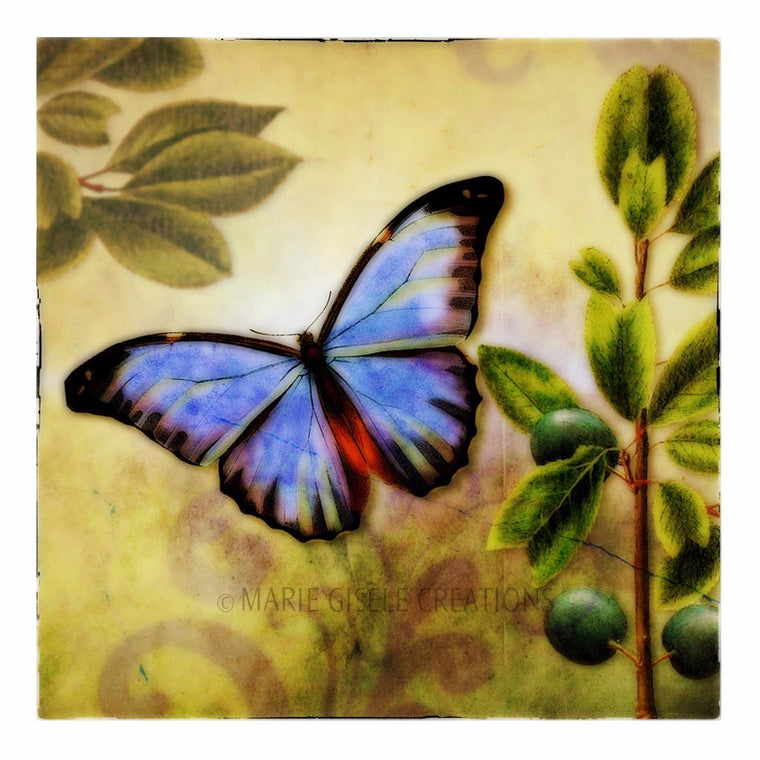 Blue Butterfly in Garden