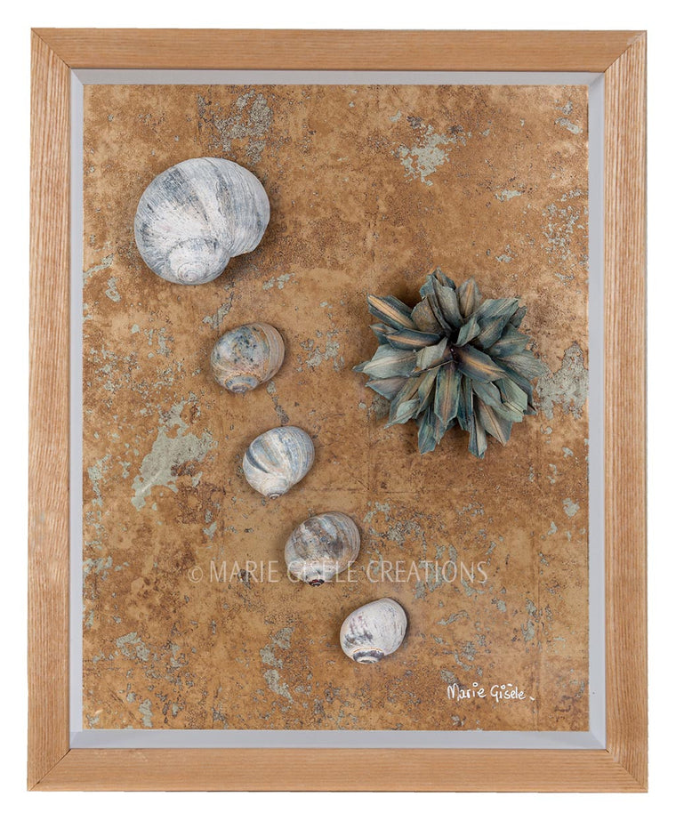 Flower and Seashell Collage