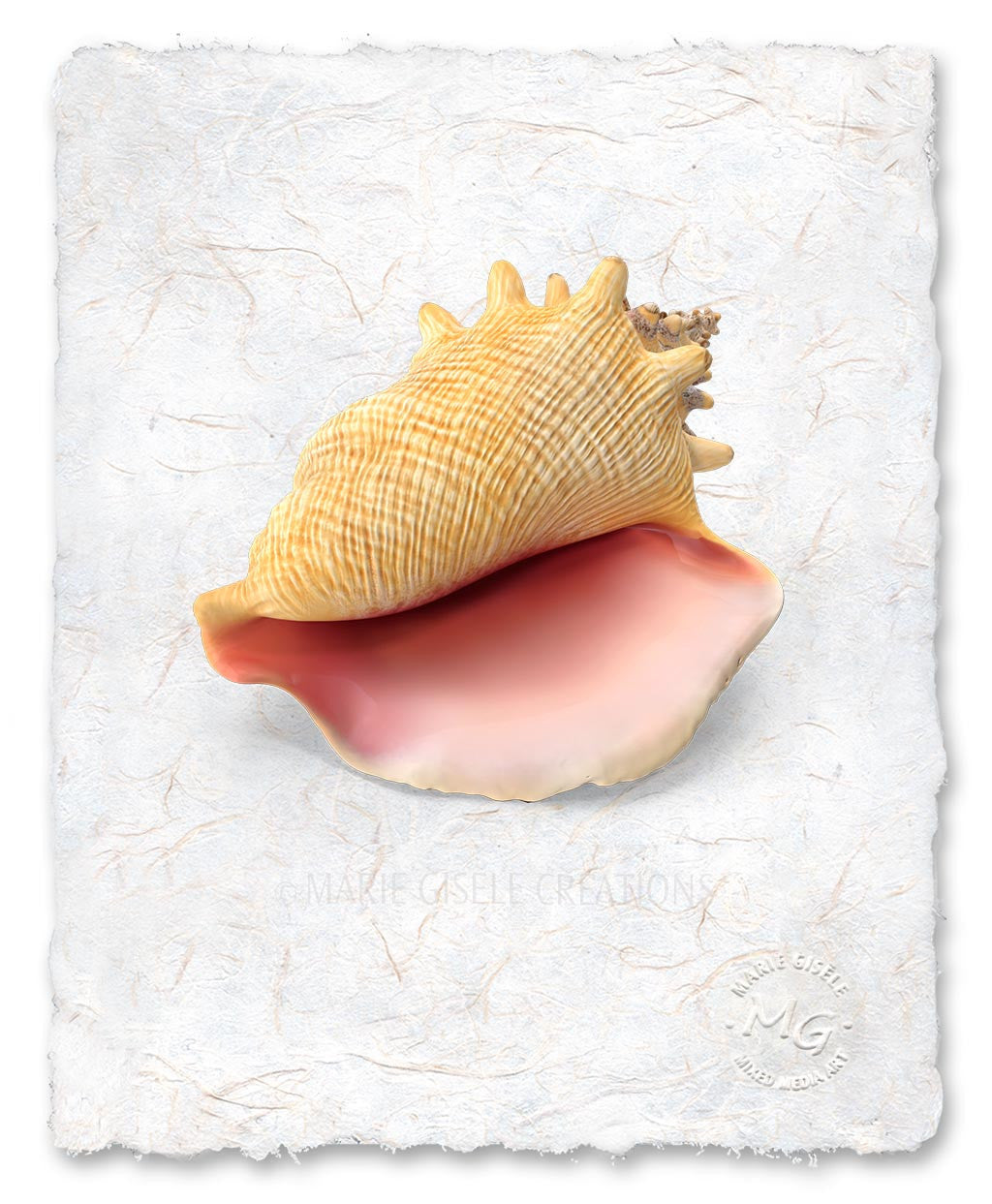 Pink Seashell