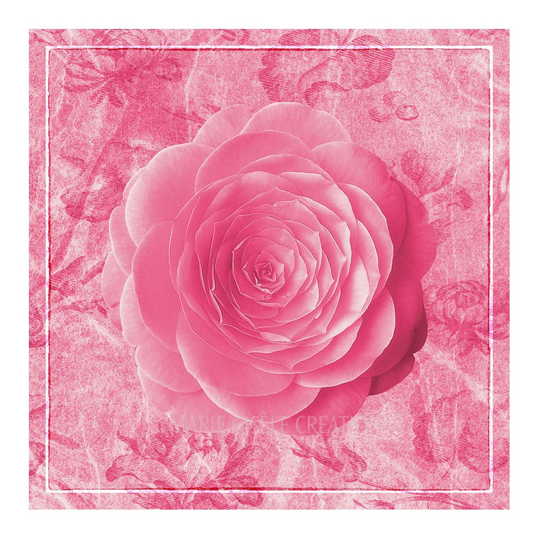 Rose on Pink Tapestry