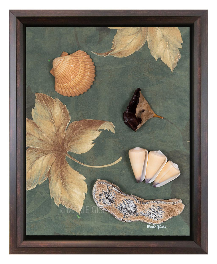 Seashell Collage