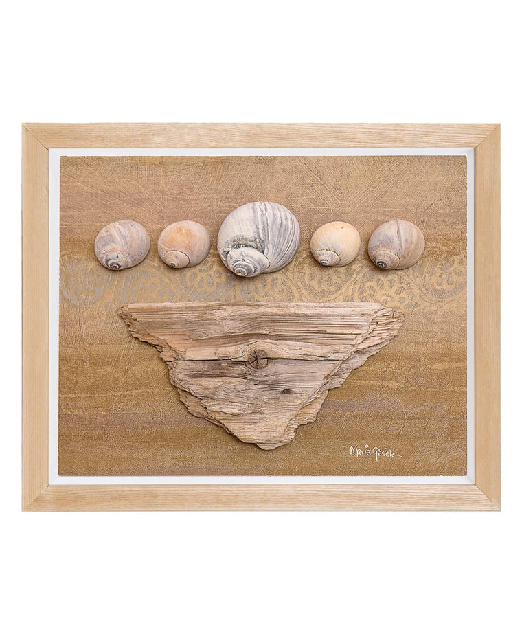 Seashells on Driftwood