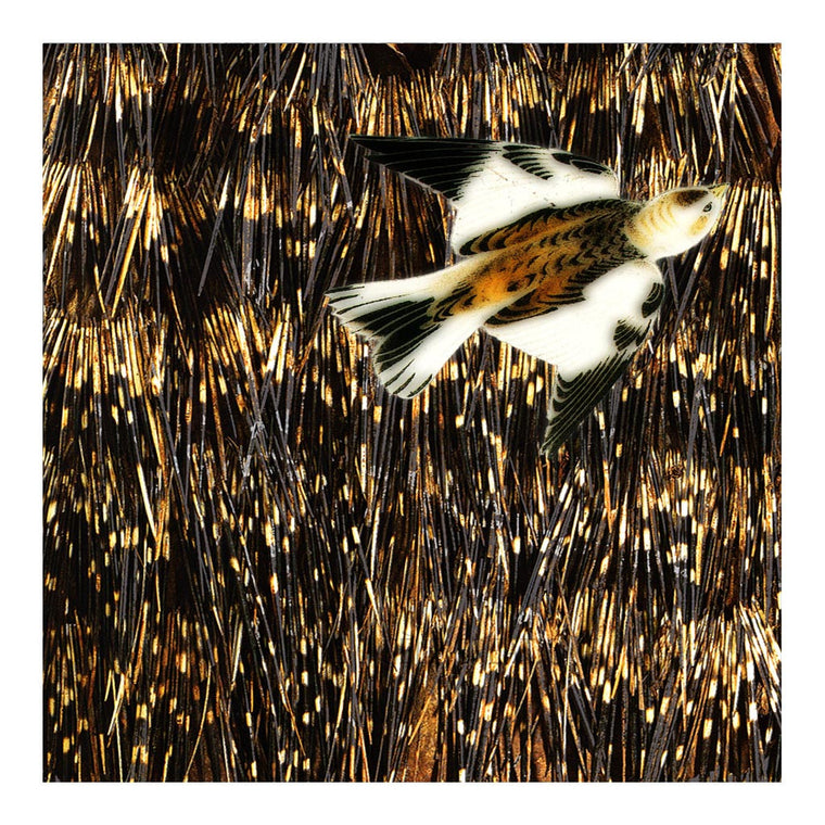 Sparrow on Quills Tapestry