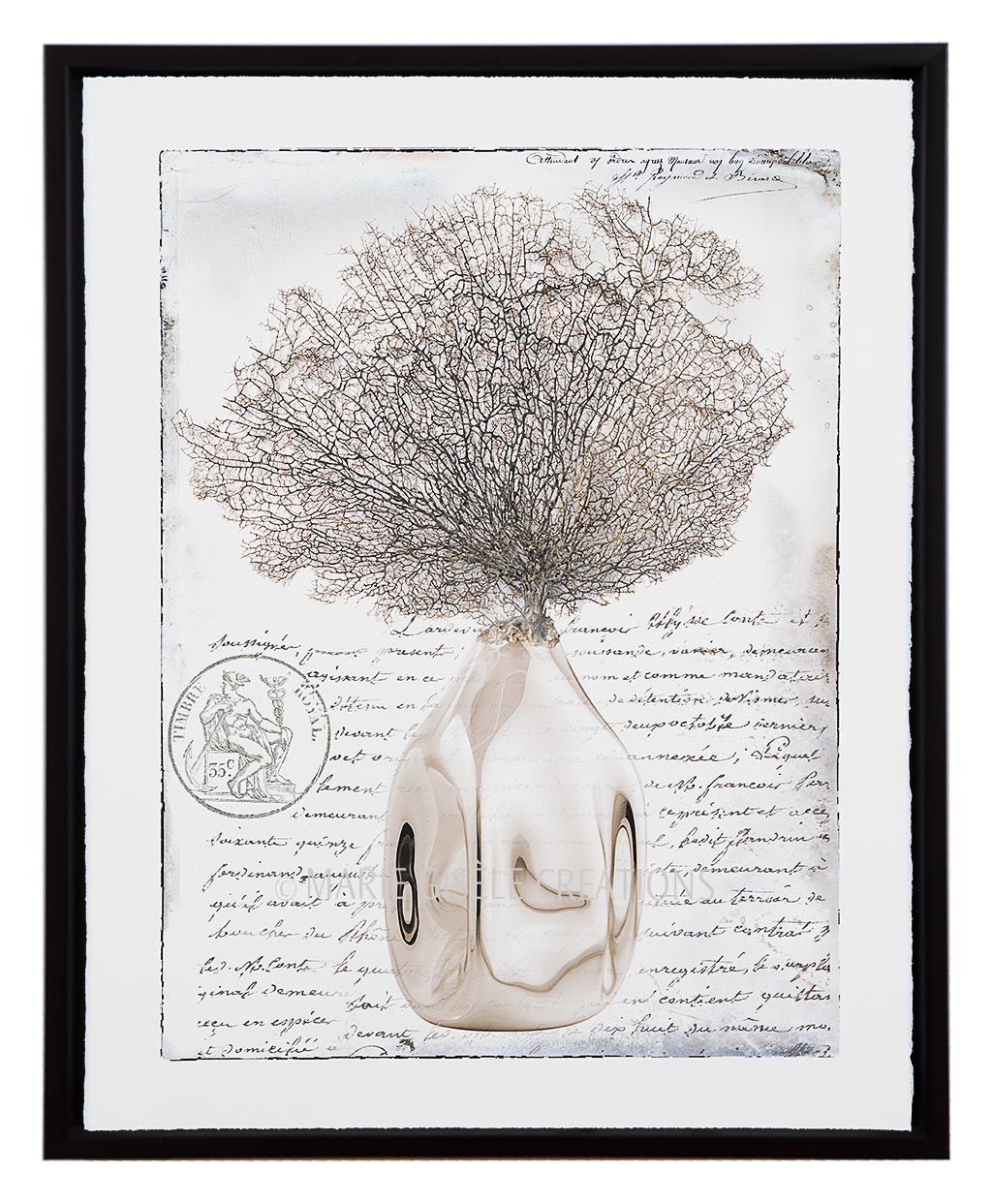 Vase with Sea Fan III