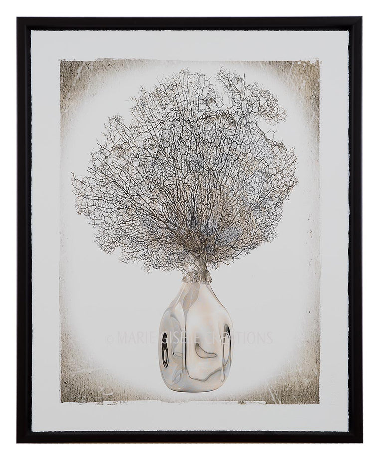 Vase with Sea Fan IV