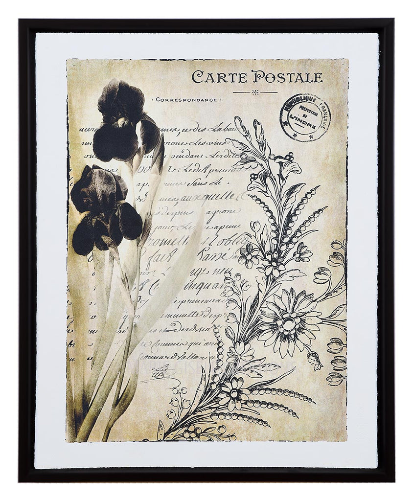 Vintage Floral Script II