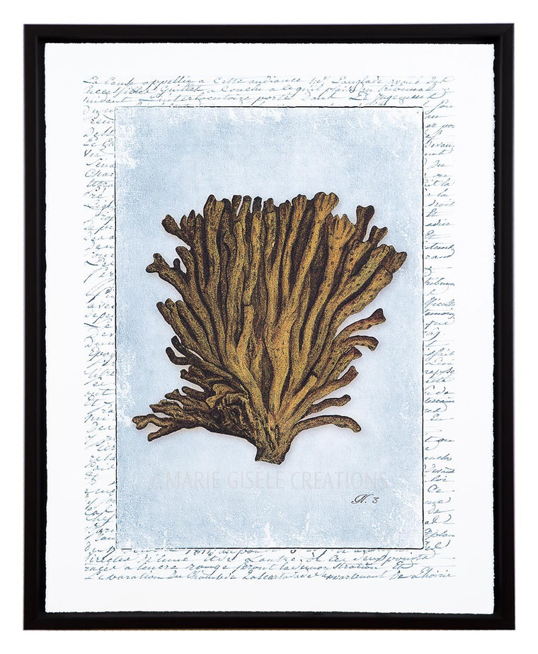 Vintage Sea Coral V