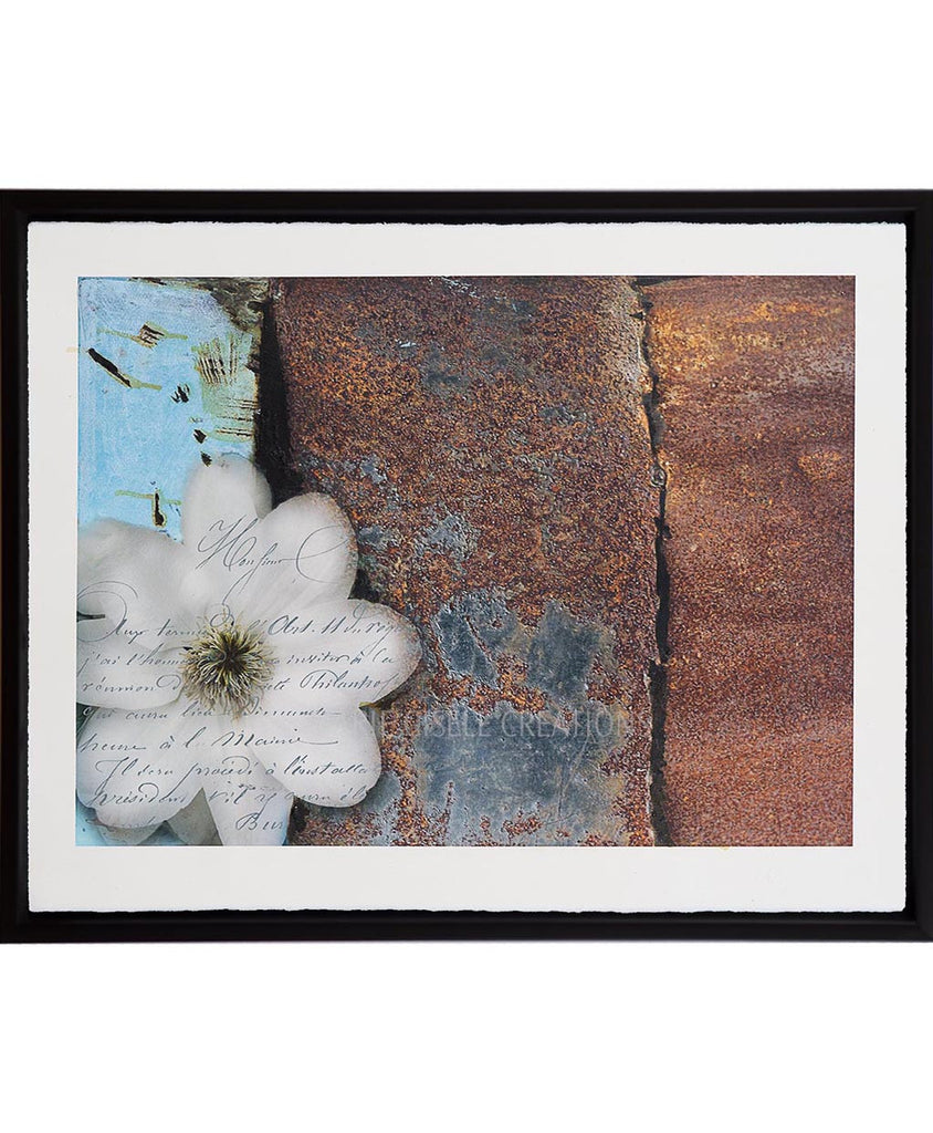 White Flower on Rusty Wall