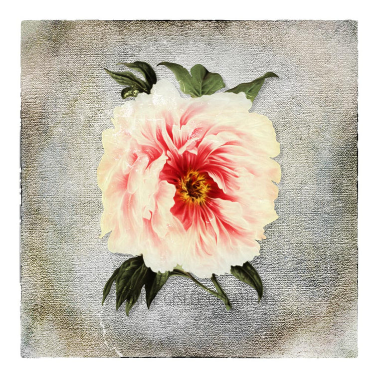 Pink Flower on Canvas